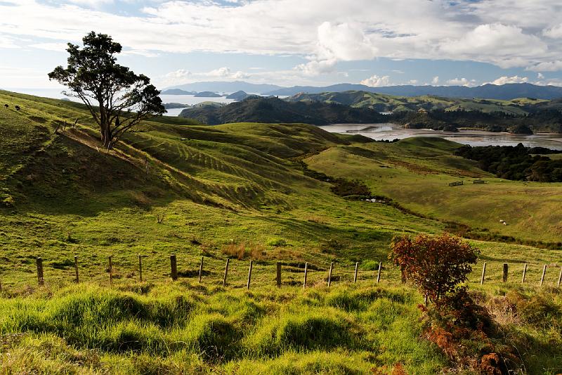 2007 04 23 Coromandel Peninsula 018_DXO.jpg